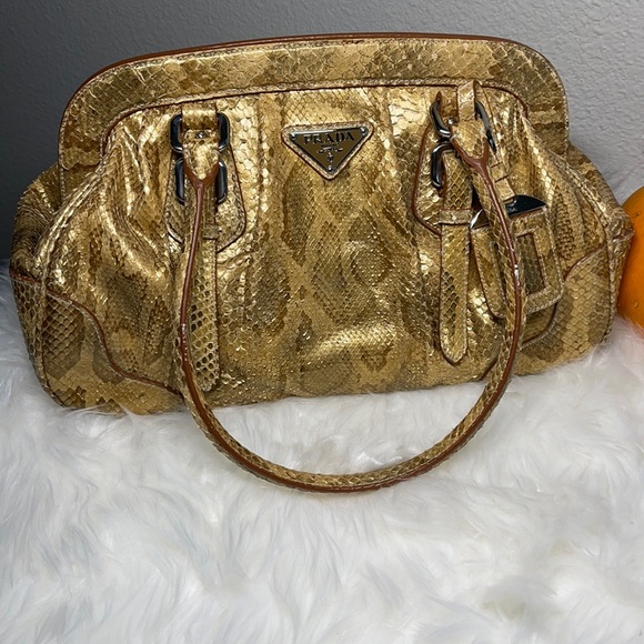 ✨PRADA Pitone Frame Bag w/ Tags - Picture 2 of 12